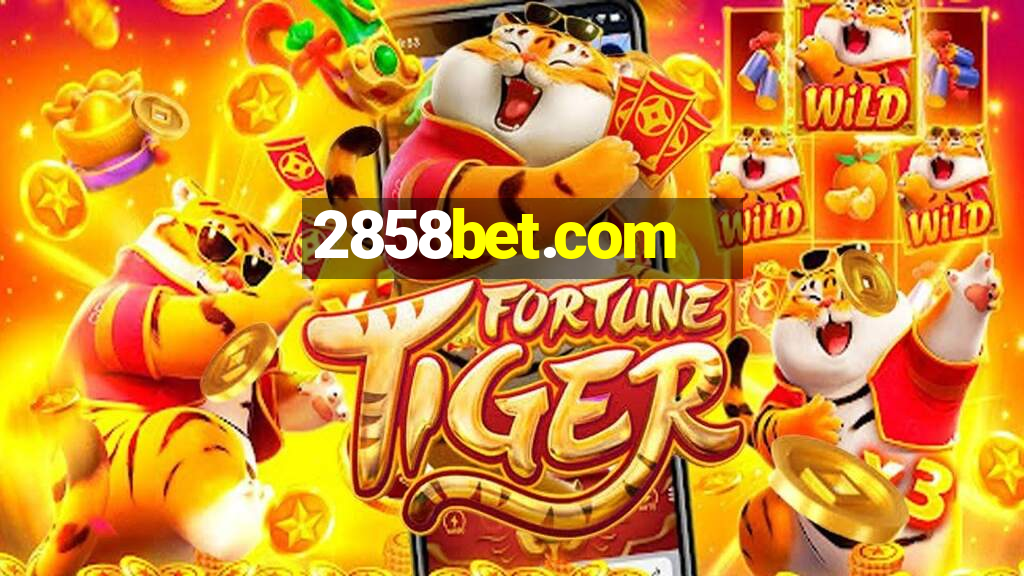 2858bet.com