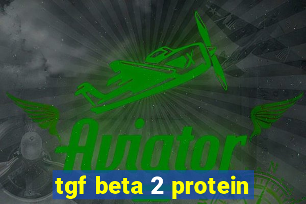 tgf beta 2 protein