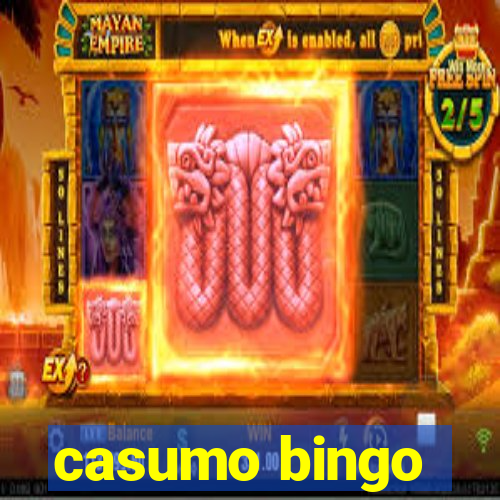 casumo bingo