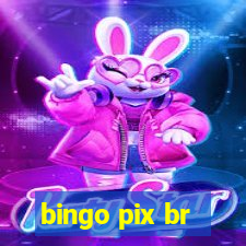 bingo pix br