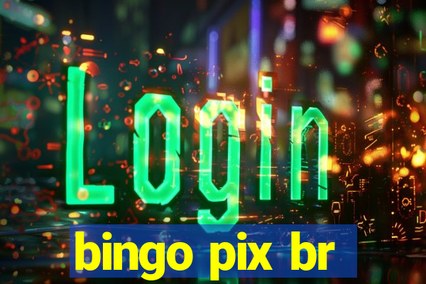 bingo pix br