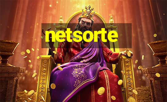 netsorte