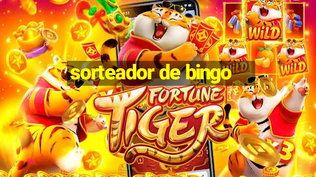 sorteador de bingo