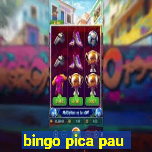 bingo pica pau