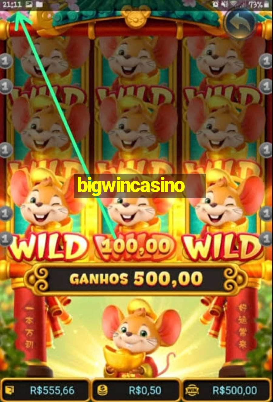 bigwincasino