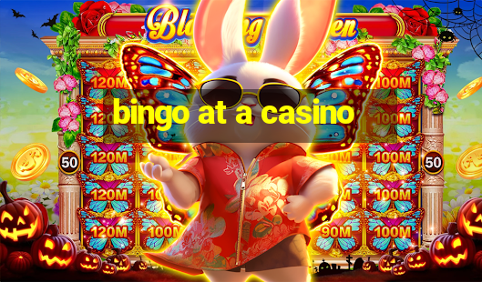 bingo at a casino