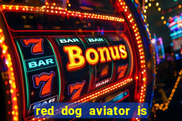 red dog aviator is real or fake