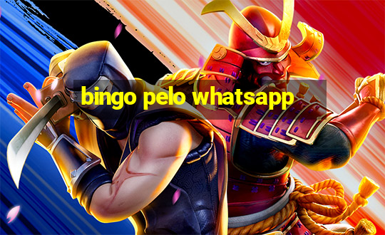 bingo pelo whatsapp