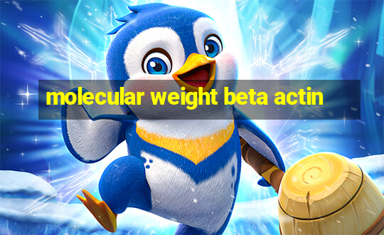 molecular weight beta actin