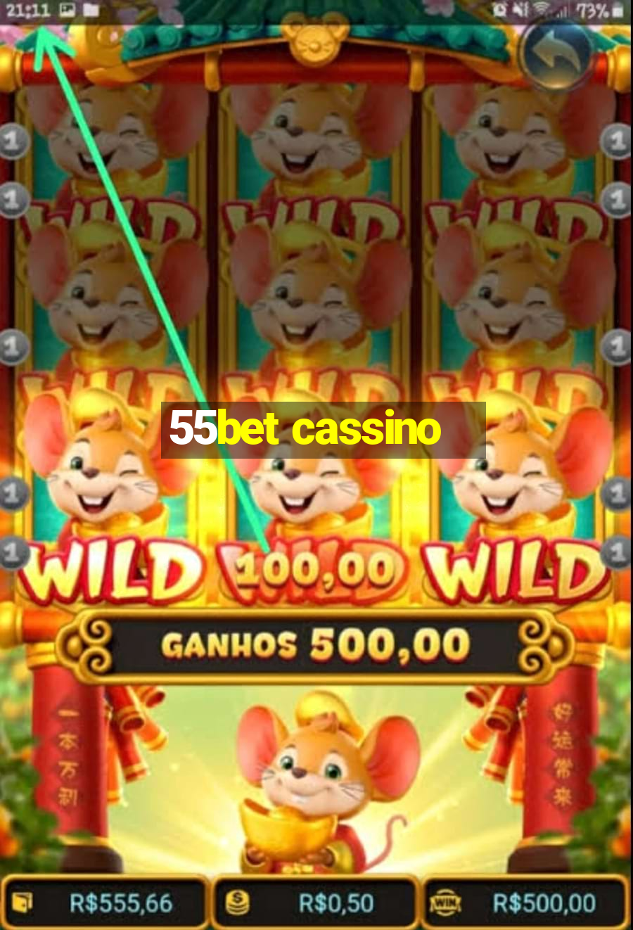 55bet cassino