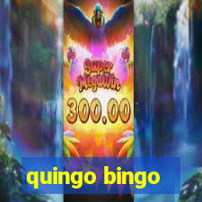 quingo bingo