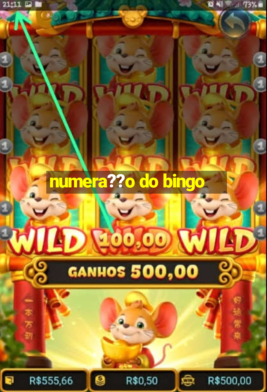 numera??o do bingo