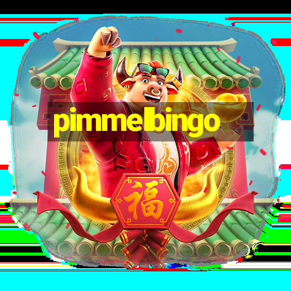 pimmelbingo