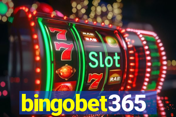 bingobet365