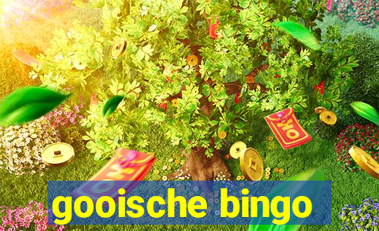 gooische bingo