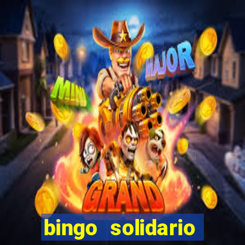 bingo solidario como organizar