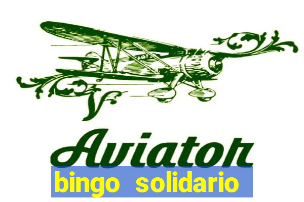 bingo solidario como organizar