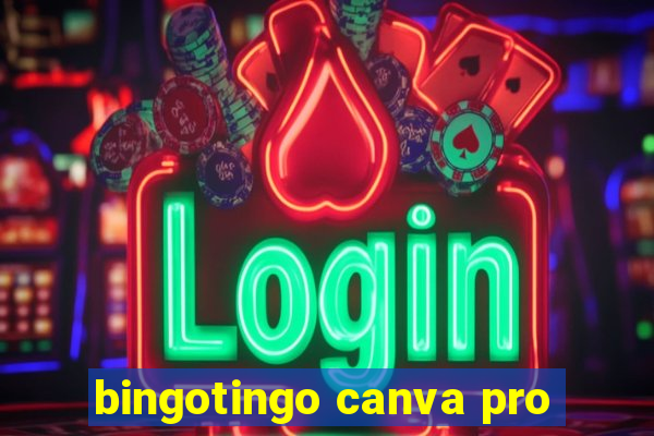 bingotingo canva pro