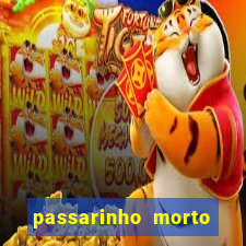 passarinho morto significado espiritual