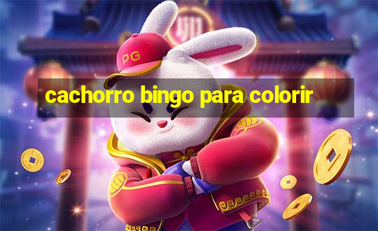 cachorro bingo para colorir