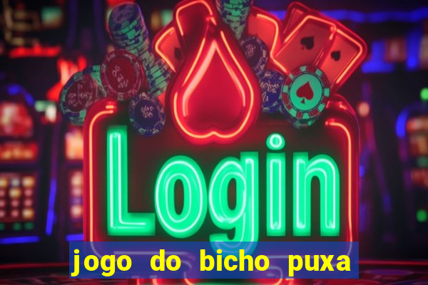 jogo do bicho puxa de dona maria