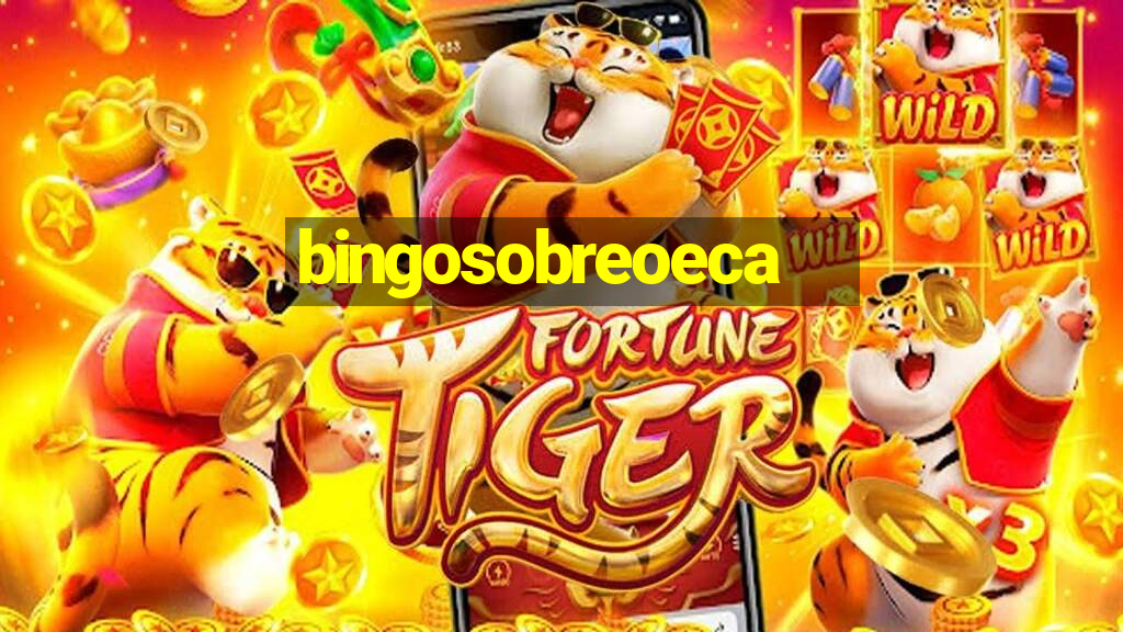 bingosobreoeca