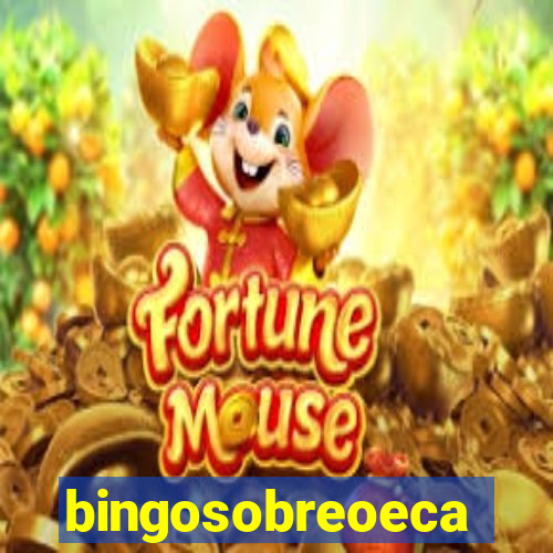 bingosobreoeca