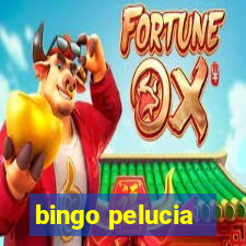 bingo pelucia