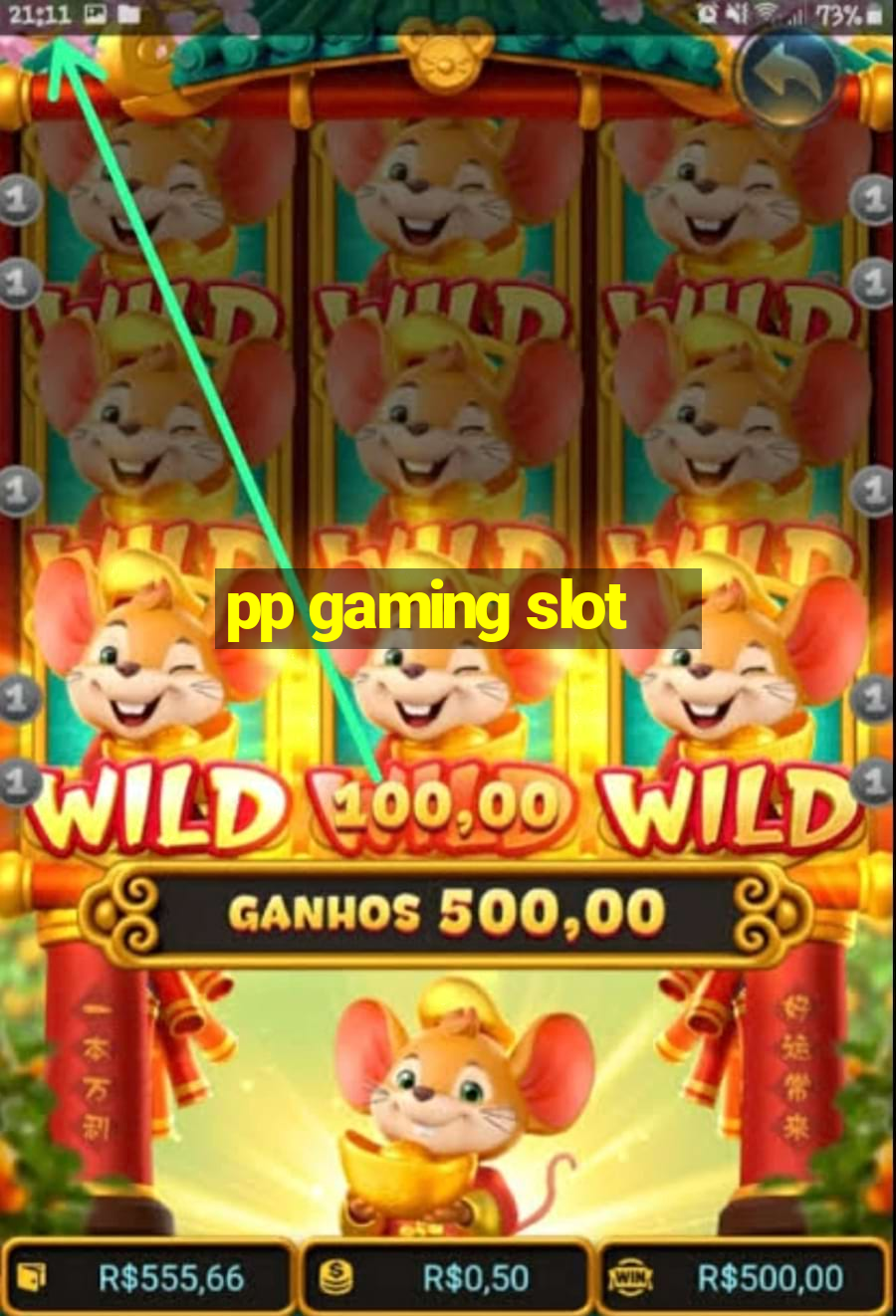 pp gaming slot