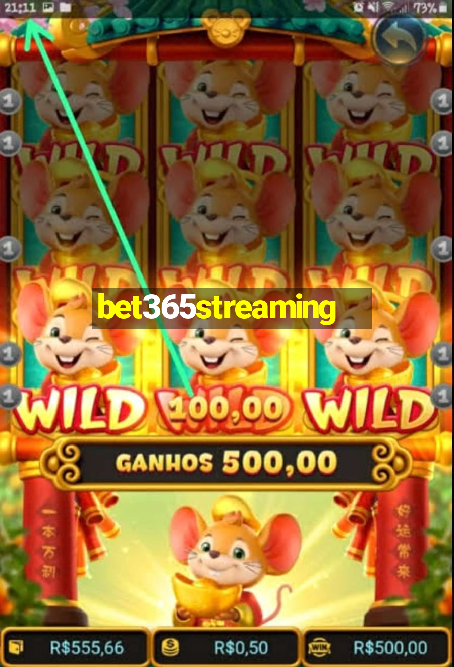 bet365streaming