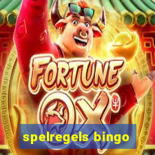 spelregels bingo