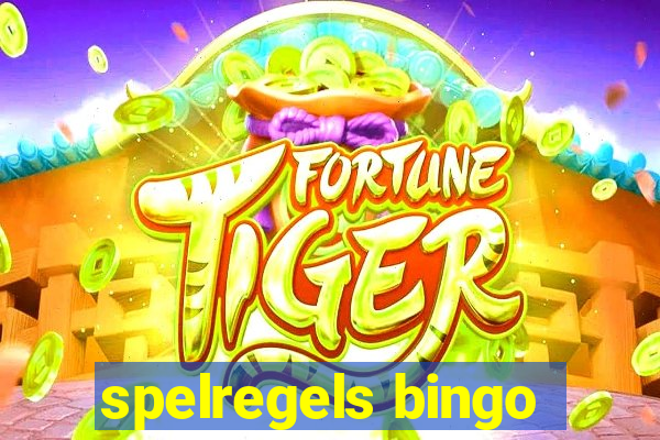 spelregels bingo