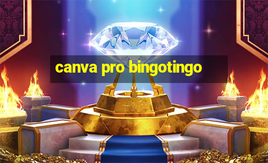 canva pro bingotingo