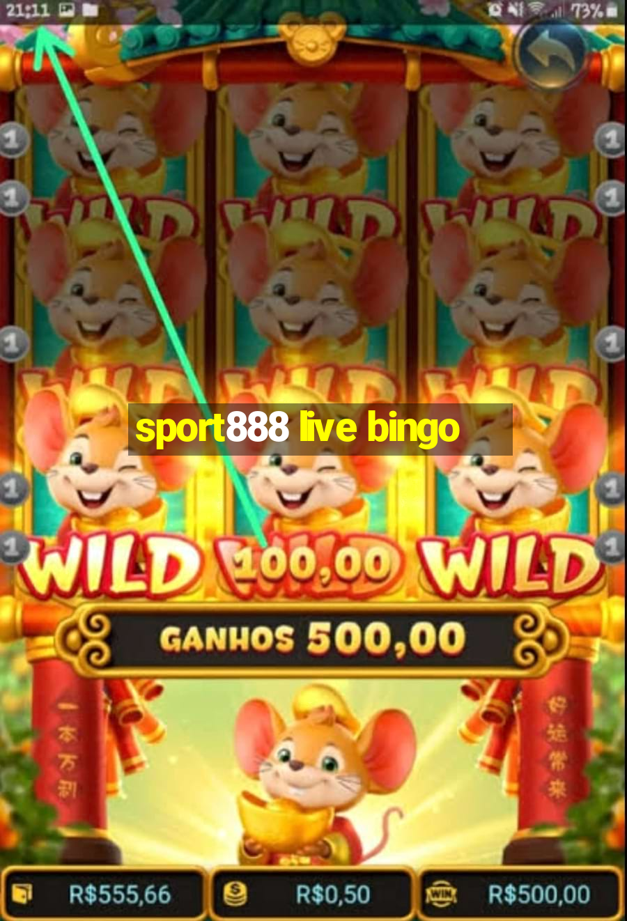 sport888 live bingo