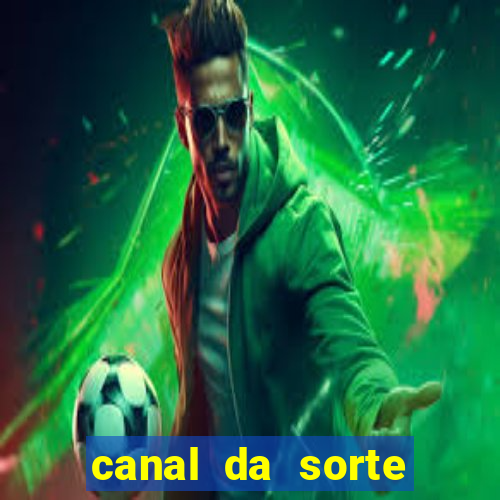 canal da sorte bingo de hoje