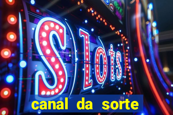 canal da sorte bingo de hoje