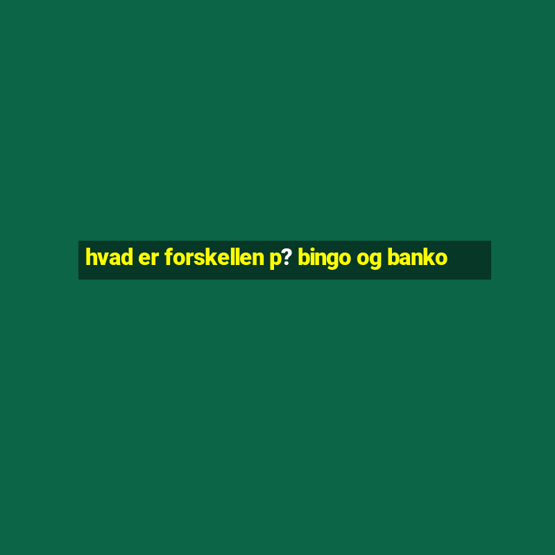 hvad er forskellen p? bingo og banko