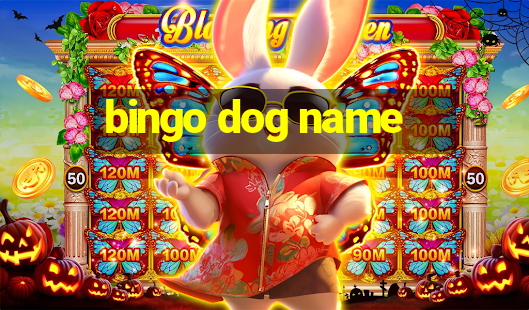 bingo dog name