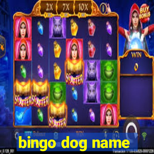 bingo dog name