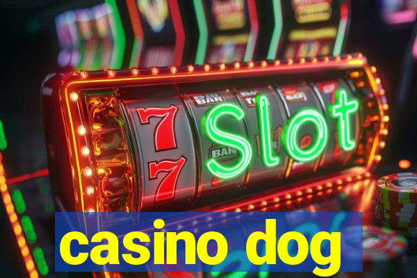 casino dog