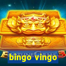 bingo vingo