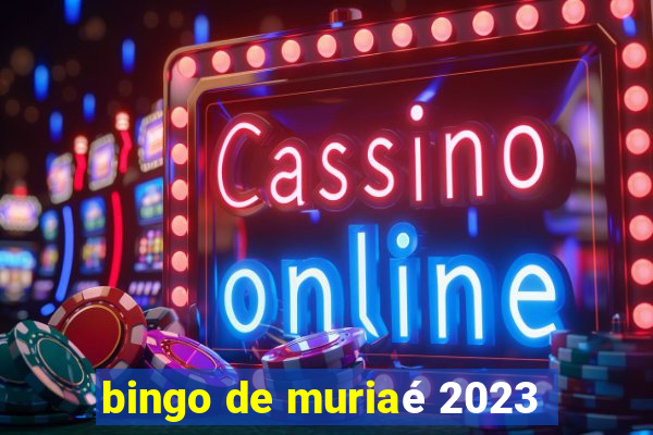 bingo de muriaé 2023