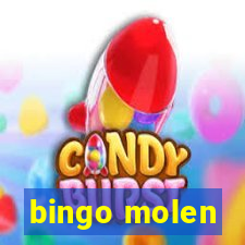 bingo molen