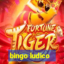 bingo ludico