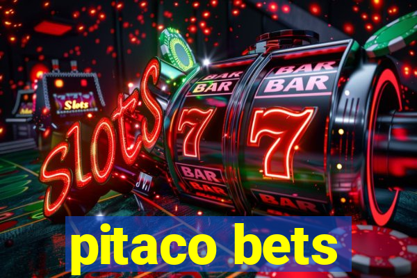 pitaco bets