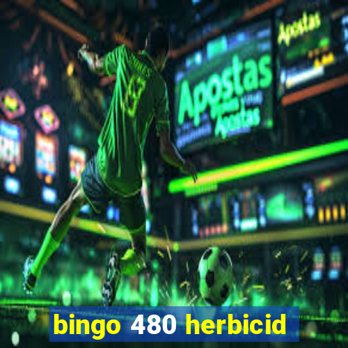 bingo 480 herbicid