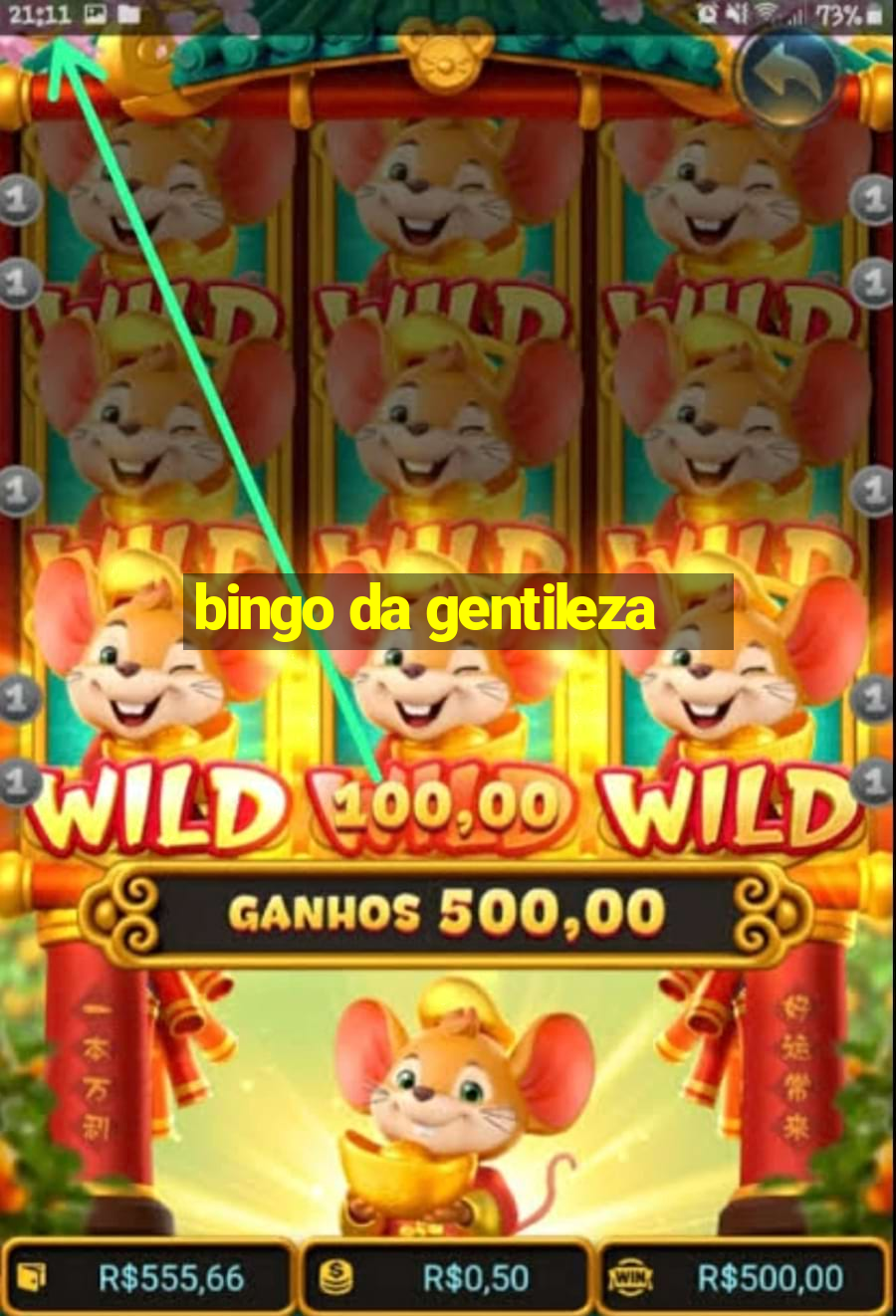 bingo da gentileza