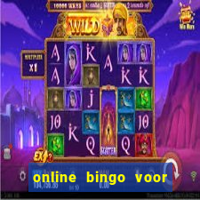 online bingo voor echt geld