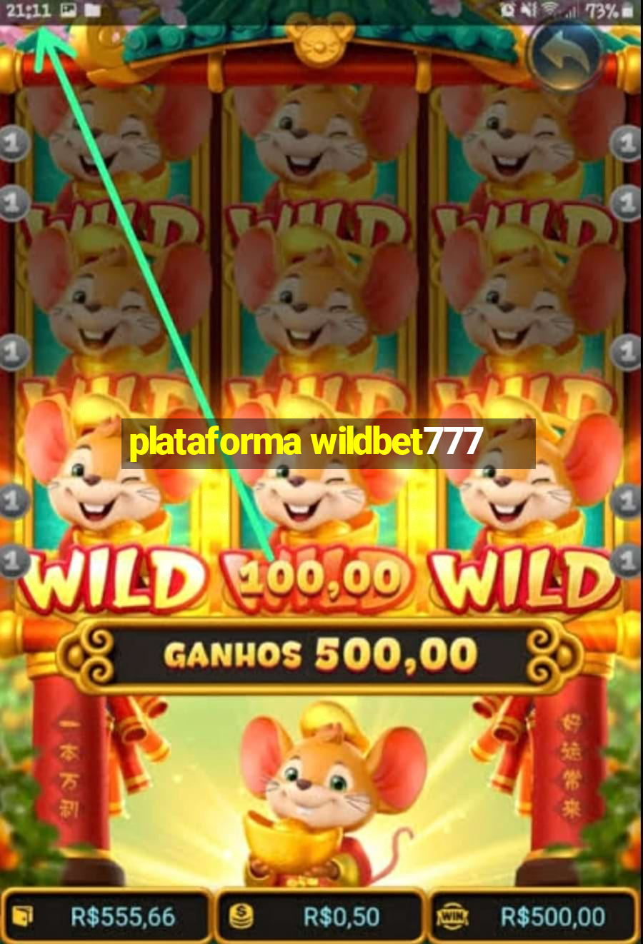 plataforma wildbet777