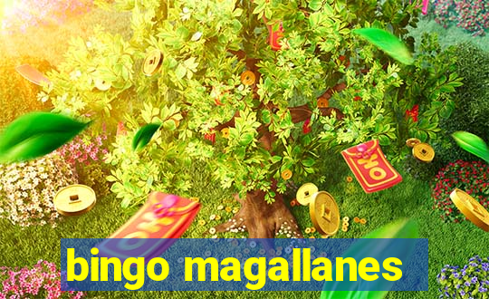 bingo magallanes